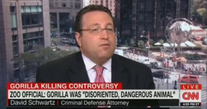 David Schwartz on CNN – Gorilla Zoo Shooting – Should Parents be Charged? featured image